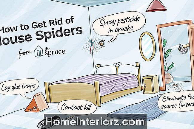 Illustration, die darstellt, wie man Hausspinnen loswird