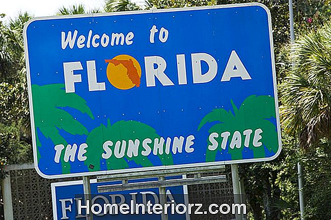 Lijst met rommelmarkten in Florida