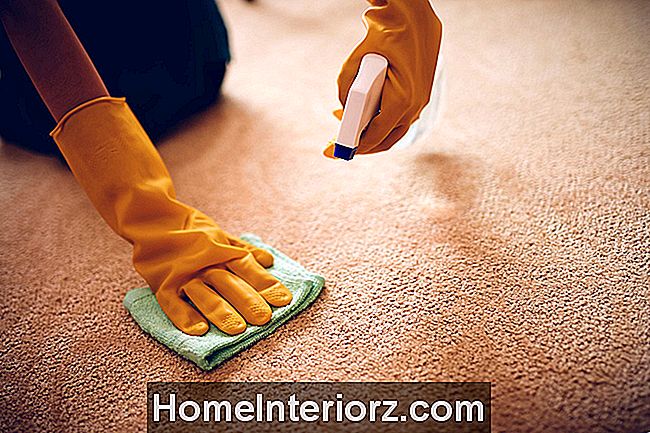 Como remover manchas de vômito em roupas e carpetes