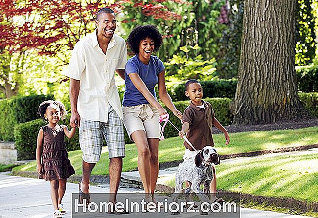 Laiminga Afrikos amerikiečių šeima, vaikščiojantis šunimi kaimynystėje