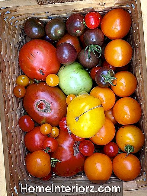 10 Grandes legumes para crescer em recipientes