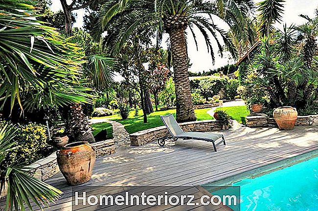 palmeiras por piscina no quintal