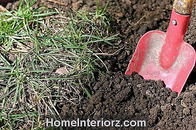 Orifício de escavação para plantar íris