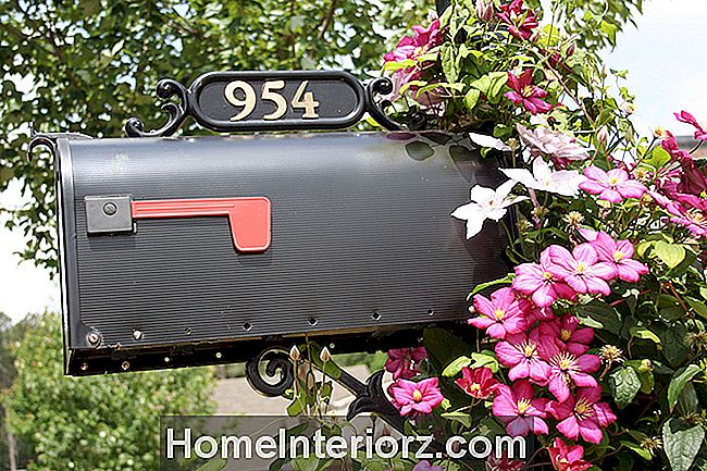 Idéias de jardim de flor de caixa de correio
