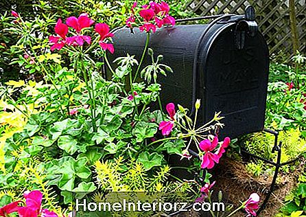 Mailbox Planter