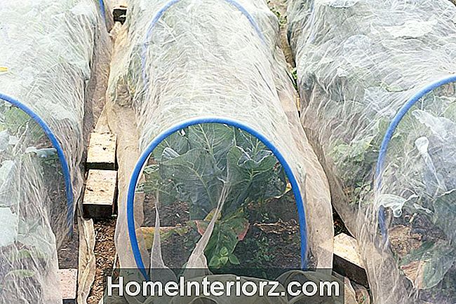 Защитные малые туннели для овощей