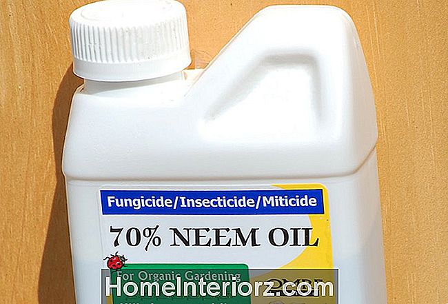 Neem olje kommer i en flaske (bilde) solgt på hagesenter. Bruk den til å sprøyte bugs organisk.