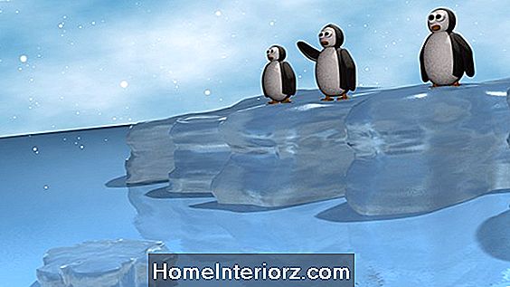 Kis pingvin információ és tények