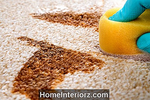 Rimuovere una macchia di soda dal tappeto