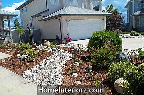 Water Wise Plants for Drought Tolerant Gardens Foto e idee